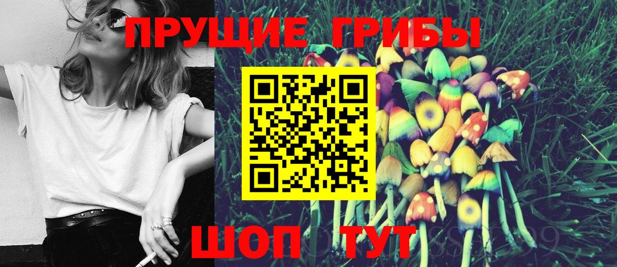 Галлюциногенные грибы GOLDEN TEACHER Люберцы
