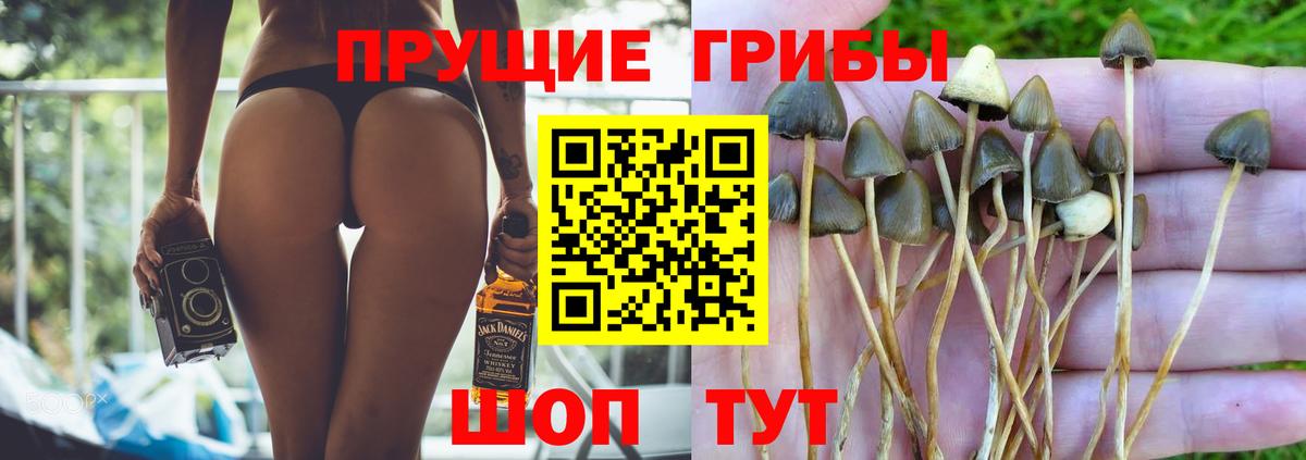 Галлюциногенные грибы мухоморы  Вход с VPN  купить наркотики цена  Люберцы 